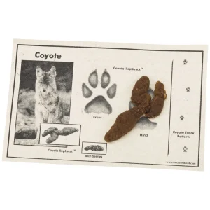Forestry Suppliers Repliscat™ - view 2