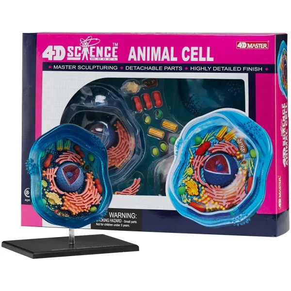 4D Science™ Animal Cell Model