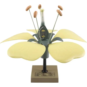 Eisco Typical Flower Classroom Model