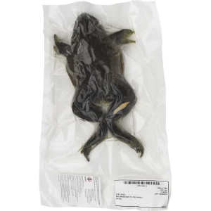 Bullfrog