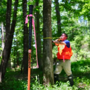 Forestry Suppliers Economy Plot Center Stick - view 2