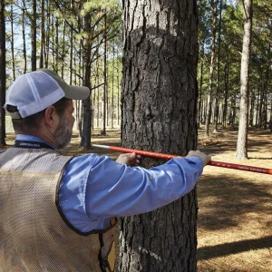 Forestry Suppliers Deluxe Plot Center Stick - view 4