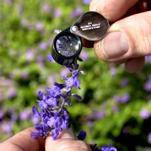 Bausch & Lomb® Hastings Triplet Pocket Magnifiers - view 2