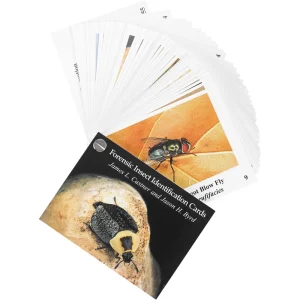 Forensic Insect Identification Cards