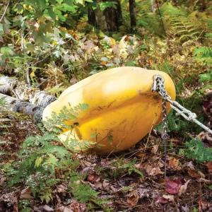 Portable Winch Skidding Cone for Logs - view 2