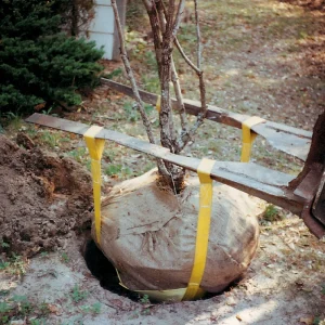 Tree Tote Sling - view 2