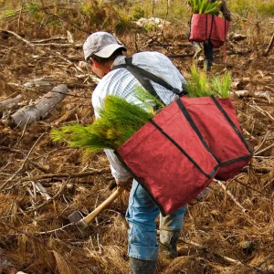 Jim-Gem® Professional Model Tree Planting Bag with Split Bag - view 2