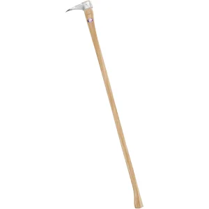 Tenzaloy Pickeroon