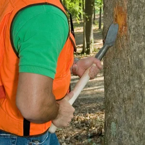 Wood Gouge Bark Spud - view 2