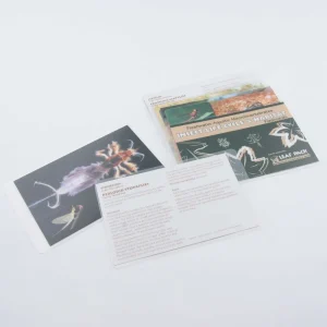 Freshwater Aquatic Macroinvertebrate: Insect Life Cycle and Habitat Flashcards with Manual