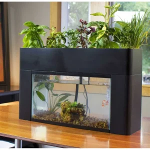 AquaSprouts Garden - view 3