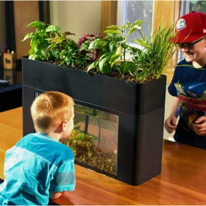 AquaSprouts Garden - view 4