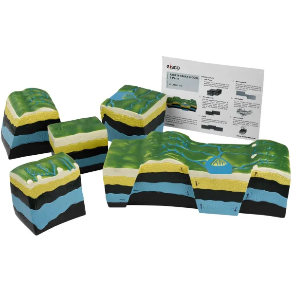 Fact & Fault Model
