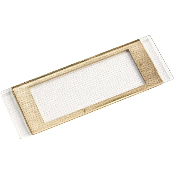 Wildco® Gridded Sedgewick-Rafter Counting Cell