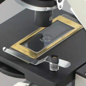 Wildco® Sedgewick-Rafter Counting Cell