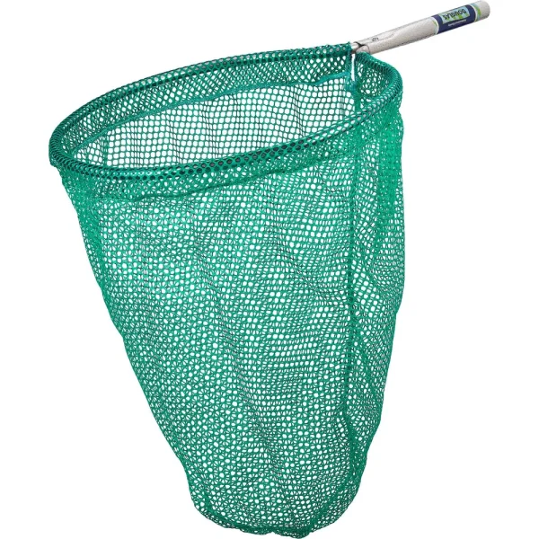 Frog Net