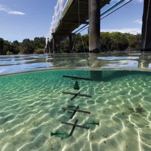 Mossback Fish Habitat™ Fish Magnet - view 3