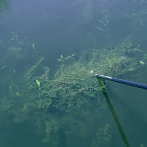 Aquatic Weed Eradicator - view 3