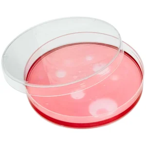 Petri Dish