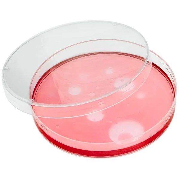 Petri Dish
