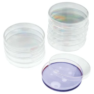 Petri Dish - view 2