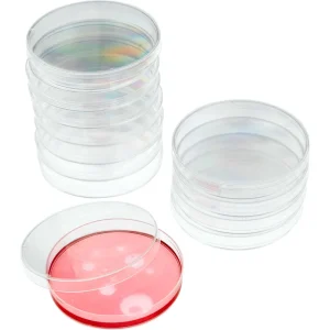 Petri Dish - view 3