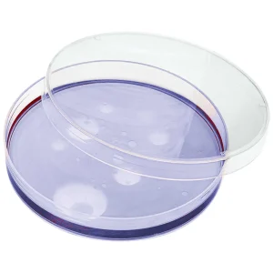 Petri Dish - view 4