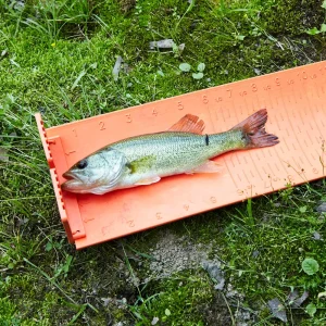 WaterMark® Fish Stik - view 4