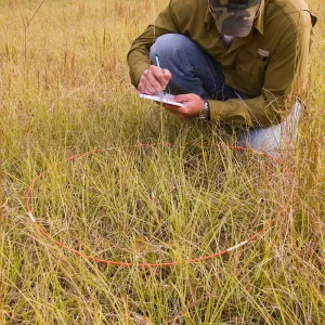 Vegetation Sampling Hoops