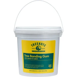 Treekote Sticky Tree Banding Gum - view 2