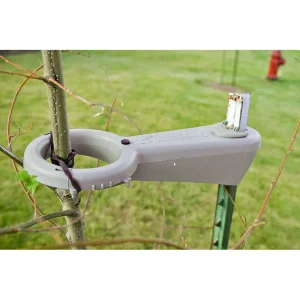 Tree-Mate-O