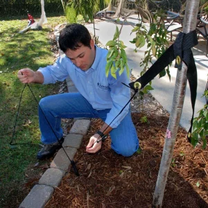 DeWitt Tree Stake Kit