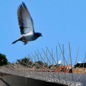 Bird-X® Stainless Steel Spikes - view 2