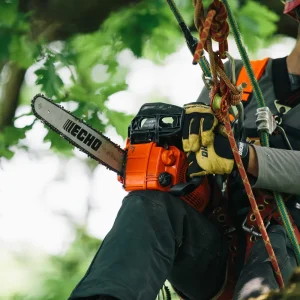 Echo® CS-355T Chainsaw - view 2