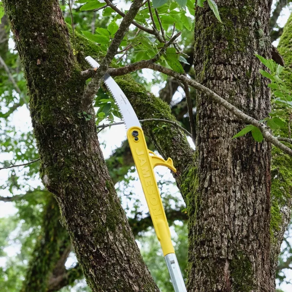 Jameson® Folding Pole Saw Head with Barracuda 13˝ Tri-Cut Blade