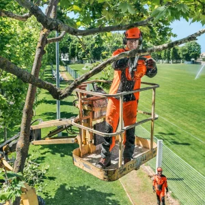 Husqvarna® T435 14˝ Top Handle Chainsaw - view 2
