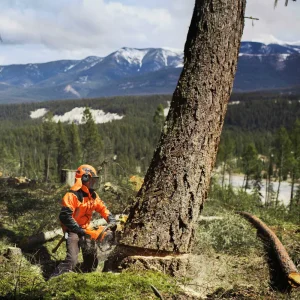 Husqvarna® 572 XP Chainsaws - view 4