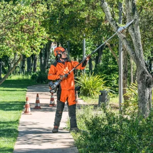 Husqvarna 525P4S Professional Fixed Pole Saw - view 3