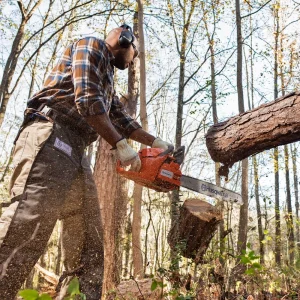 Husqvarna® 460 Rancher 24˝ Chainsaw - view 3