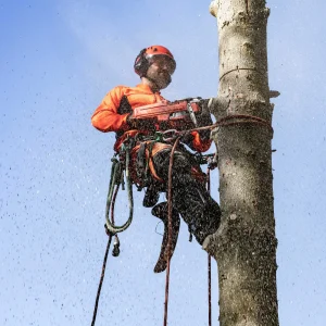Husqvarna® 545 Mark II 18˝ Chainsaws - view 4