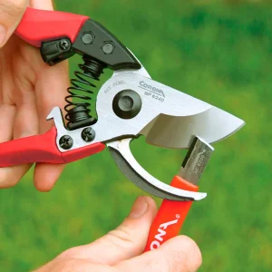 Corona® Sharpening Tool