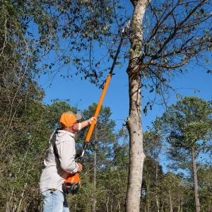 Echo® eForce® DPPT-2600H 56V Telescopic Power Pruner