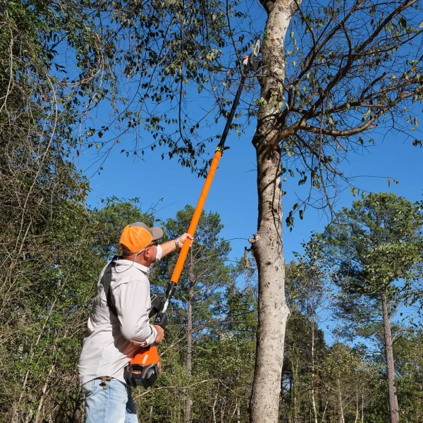 Echo® eForce® DPPT-2600H 56V Telescopic Power Pruner
