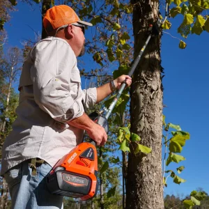 Echo® eForce® DPPF-2100 56V Power Pruner