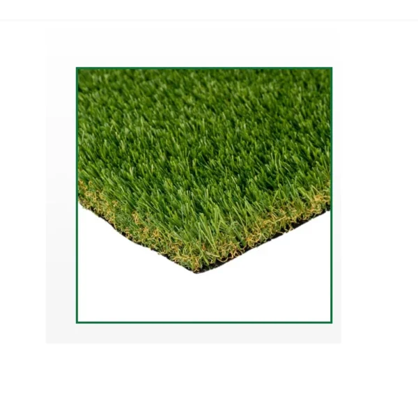 FESCUE ELITE XQ