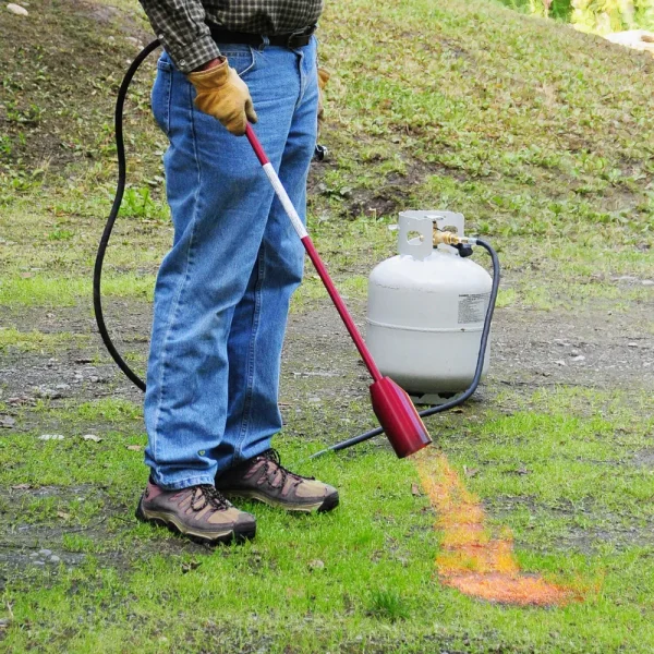 Red Dragon® Propane Torch