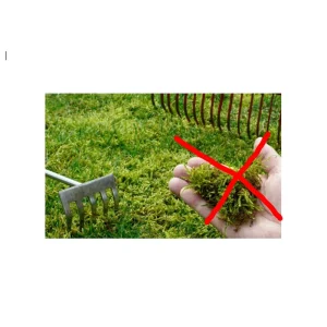 Organic Moss Killer Zinc Sulfate | Powder 50 Lb bag.
