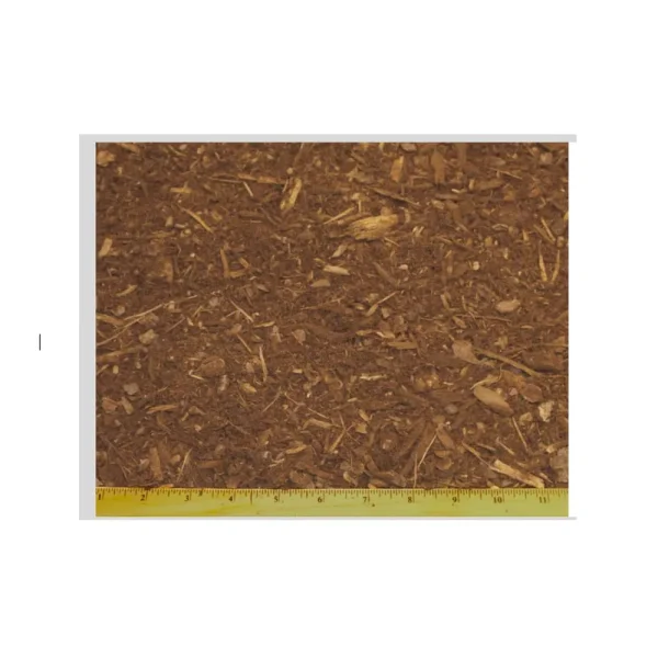 Fresh Ground Fir