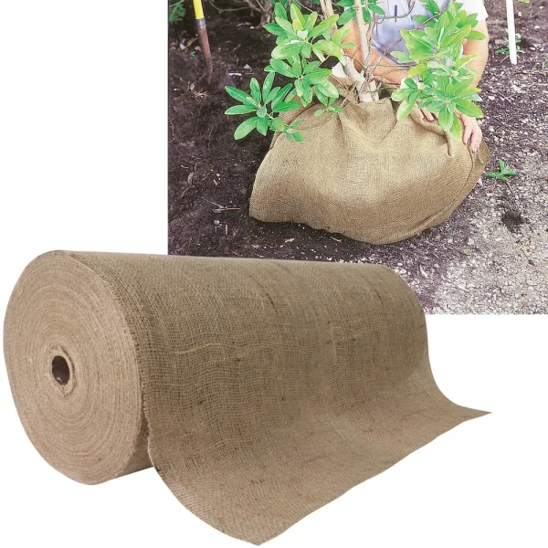Plain Burlap