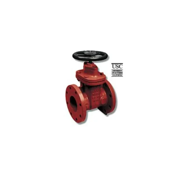 10RW Flanged Cast Iron Gate Valve